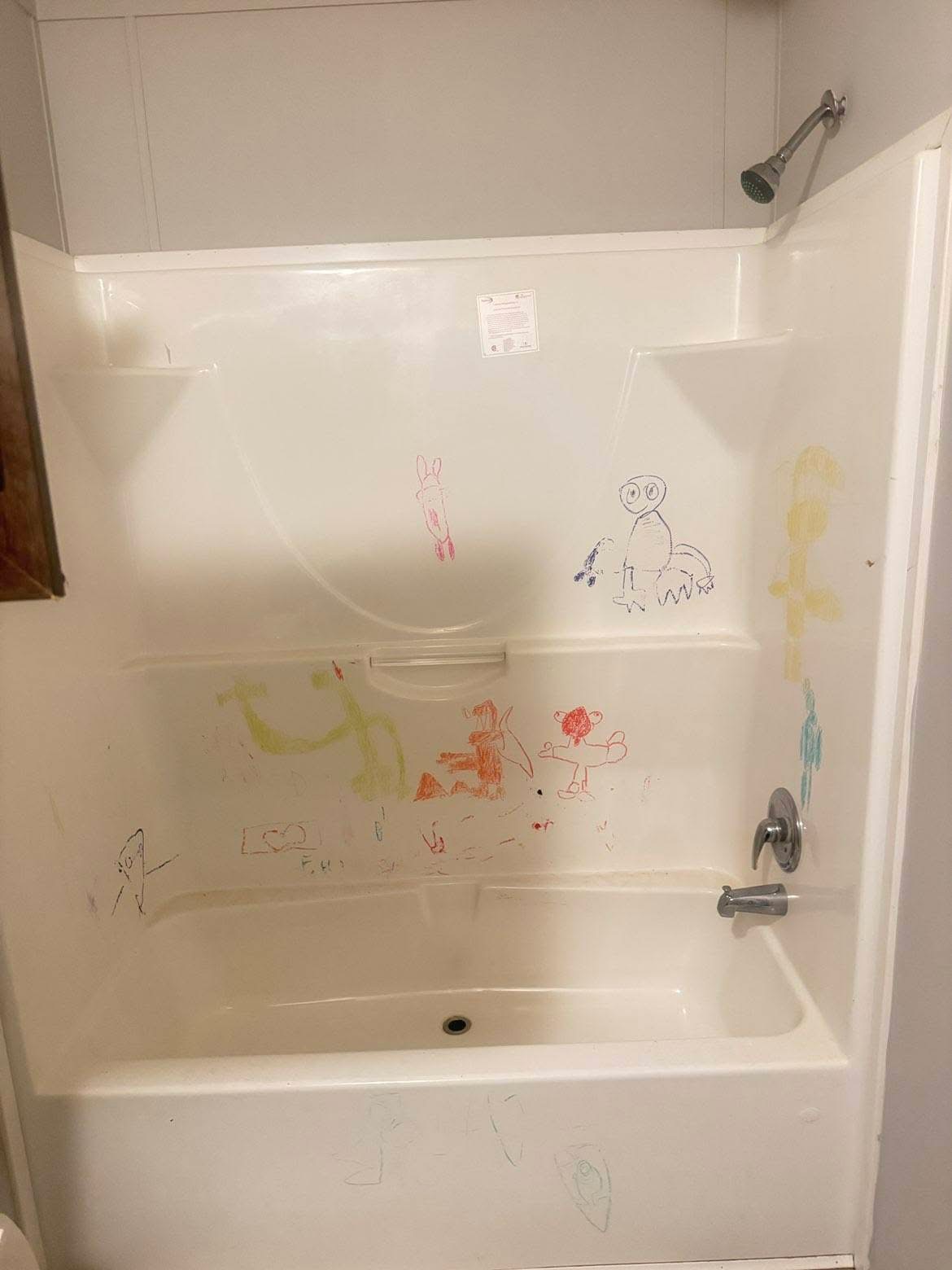 Bathtub and surround — before