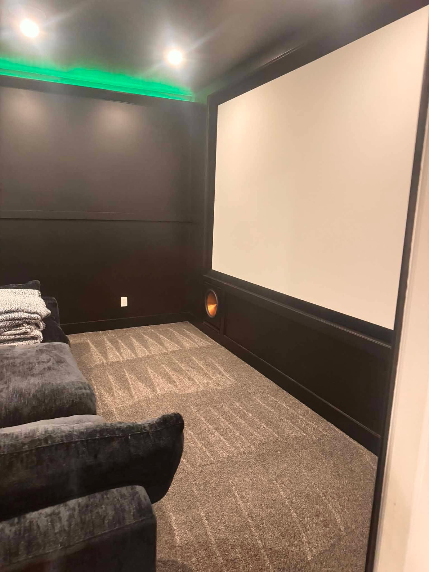 Vacuumed home theater room